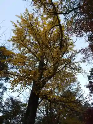 厳島神社(広島県)