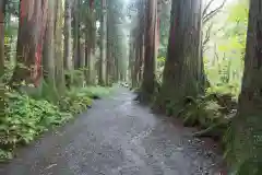 戸隠神社奥社の周辺