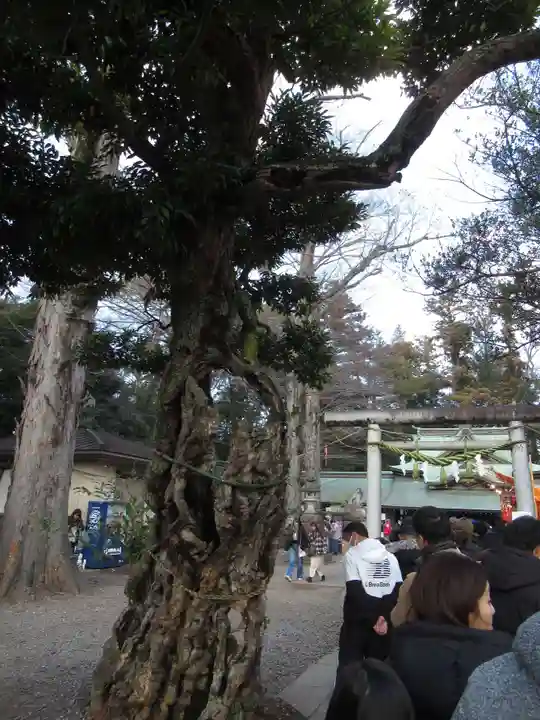 一言主神社(茨城県)