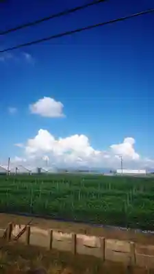 白山社(井堀)の周辺