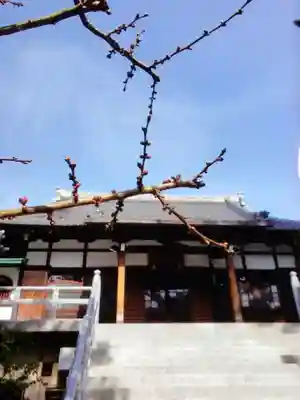 玄国寺(東京都)