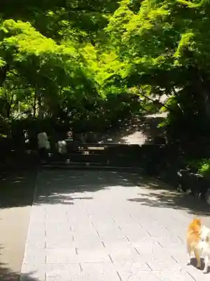 勝尾寺(大阪府)