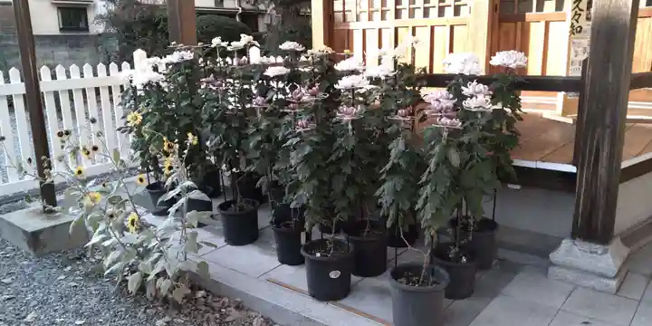 久々知須佐男神社(兵庫県)