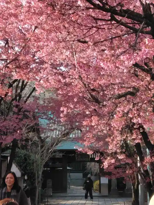 寿福寺(東京都)
