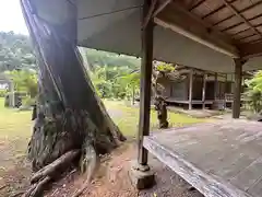 惶根神社(京都府)