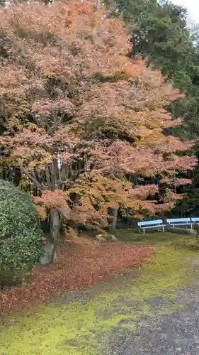隨心院（随心院）(京都府)