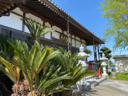 法話と天井絵の寺　観音寺(徳島県)
