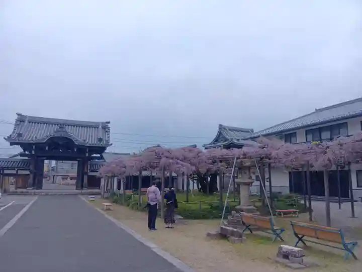 竹鼻別院(岐阜県)
