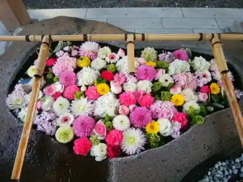 千歳神社の手水