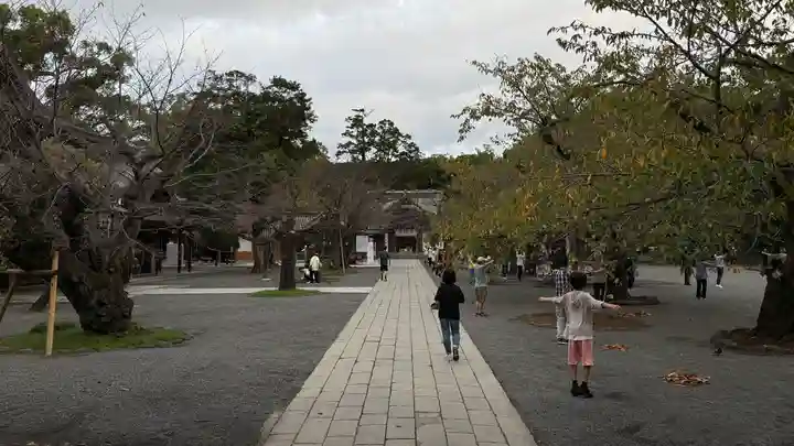 三嶋大社(静岡県)