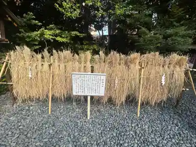 東京大神宮(東京都)