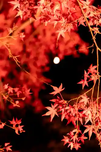 北野天満宮(京都府)