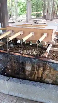 北海道神宮の手水舎