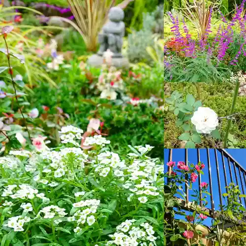寿量山　速成寺の庭園