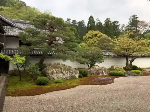 南禅寺の庭園