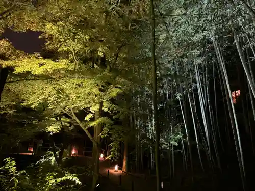 北野天満宮(京都府)