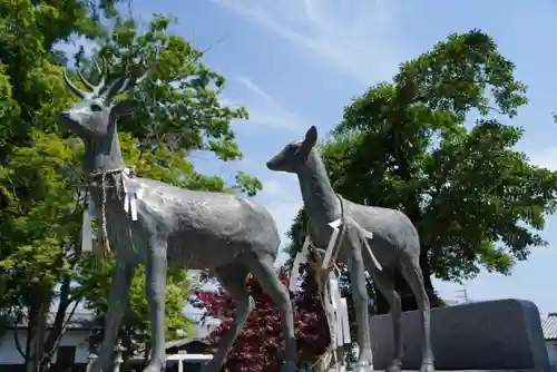 立木神社の狛犬