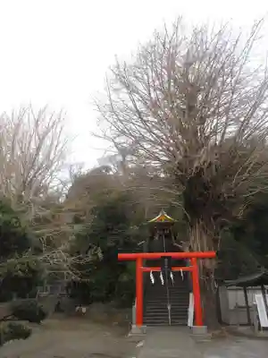 雷神社の鳥居