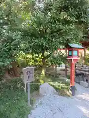 源九郎稲荷神社の自然