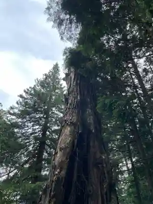 日光東照宮奥宮拝殿(栃木県)
