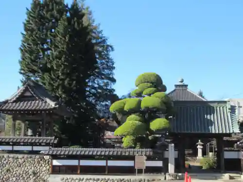 金剛寺(東京都)