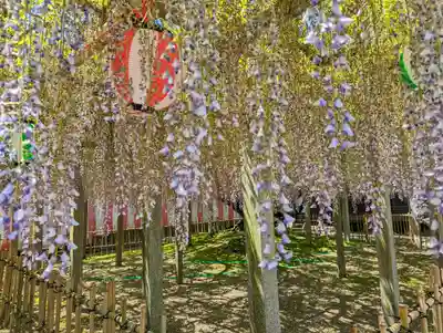 惣社神社(滋賀県)