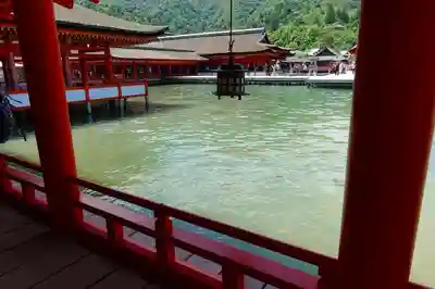 厳島神社の本殿・本堂