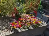 金蛇水神社(宮城県)