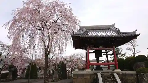 冨士御室浅間神社の建物その他