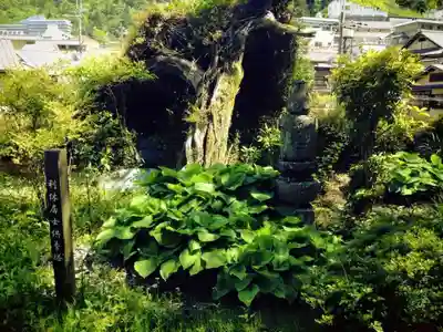 善福寺のその他建物