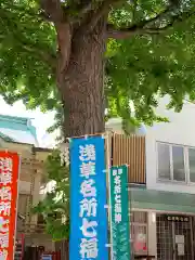 矢先稲荷神社の自然