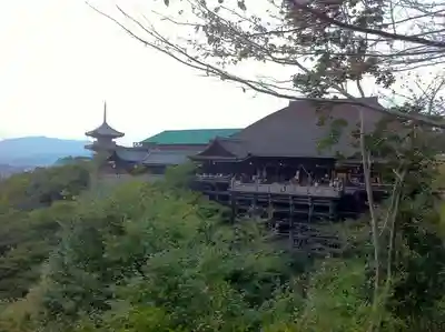 清水寺の本殿・本堂