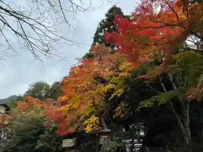 大聖院(広島県)