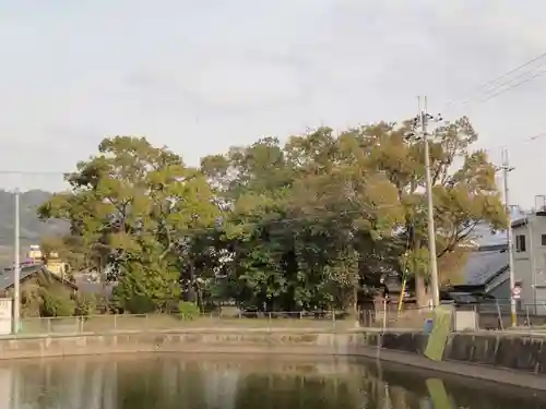 國津神社の景色