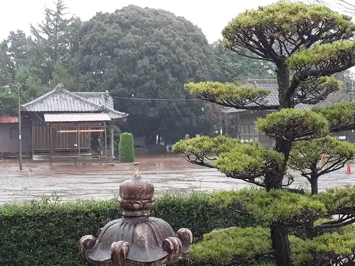 伏木香取神社(茨城県)