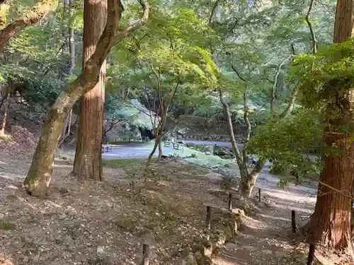 醍醐寺(京都府)