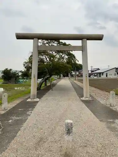 尾張神社（小針）の鳥居