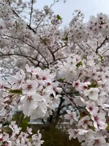 了仙寺(静岡県)