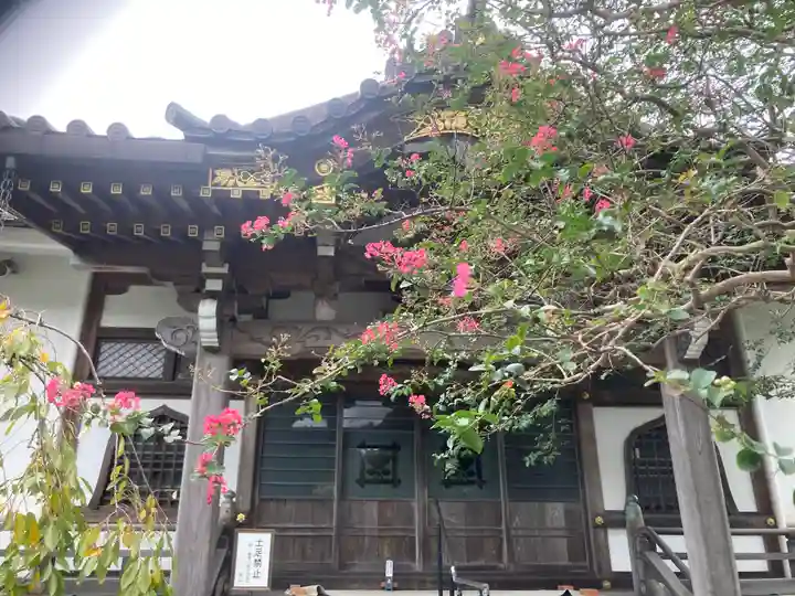 妙隆寺(神奈川県)