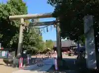 浅草神社の鳥居