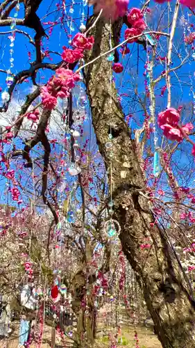 北野天満宮(京都府)