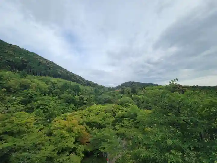 清水寺の景色
