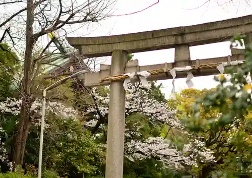 稲毛神社の鳥居