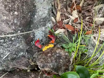 妙見寺(兵庫県)