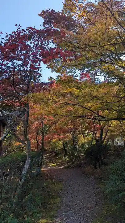 神藏寺(京都府)
