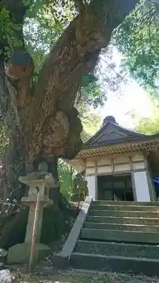 生王部神社の本殿