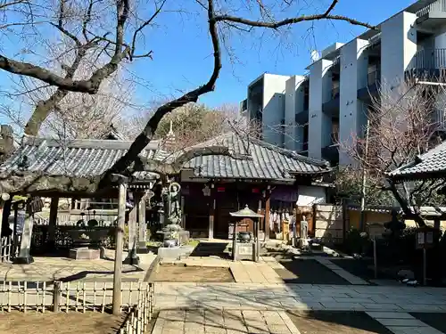 新井薬師（梅照院）(東京都)