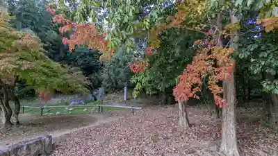 大覚寺(京都府)