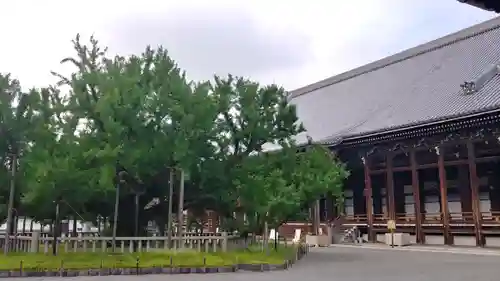 本願寺（西本願寺）のその他建物