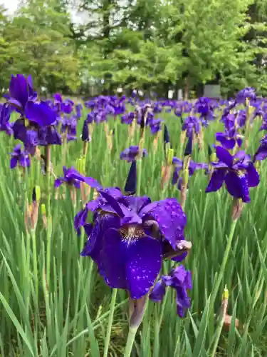 作楽神社(岡山県)